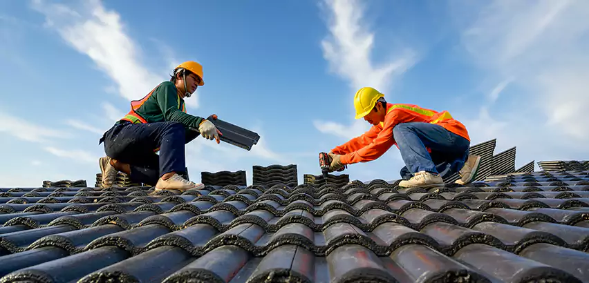Professional Shed Roof Replacement Services in Cicero, IL